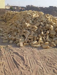 طابوك بيرنه درجه والئ شرط المكلاب قوه والون وغالبا ركن عدد شرط للحساب ...