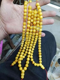 كهرب بولوني • ١١٧غ • واسط صويرة