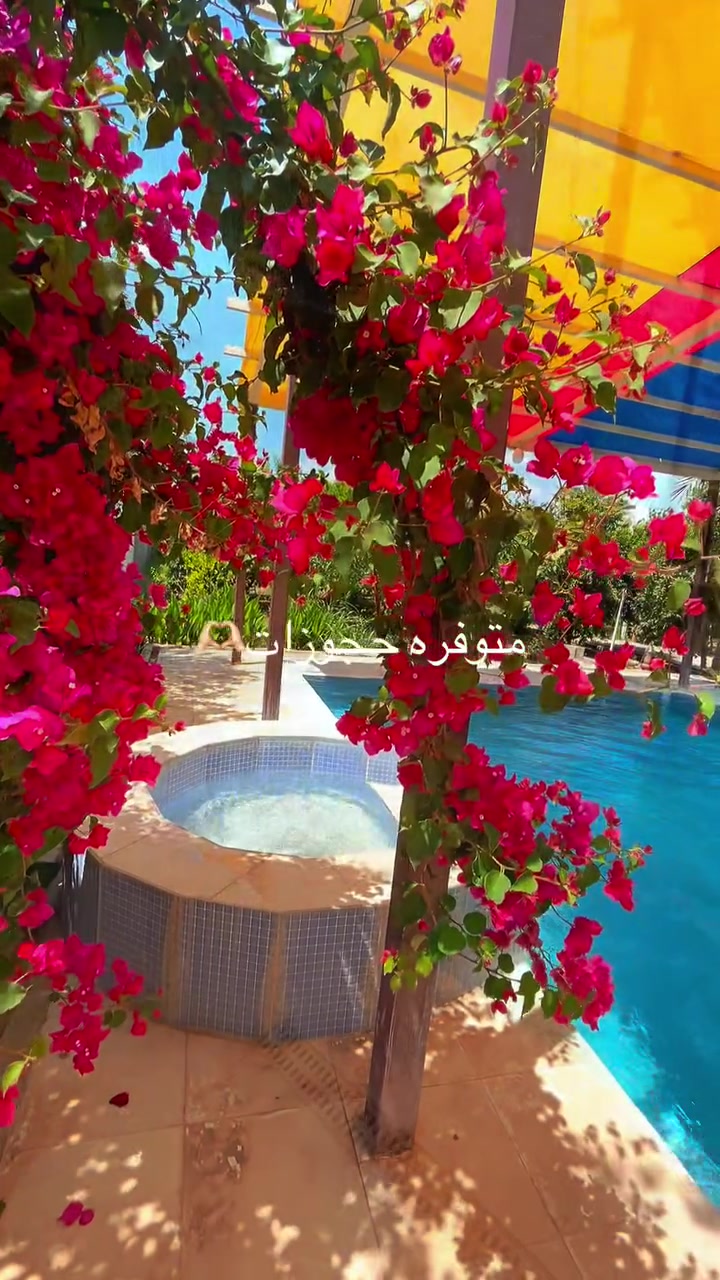 مزرعه تجنن في بلد🌷🍇🍏🪿🍑***********
