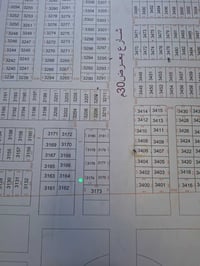 نص قطعه • ١٢٧م • باب زيد