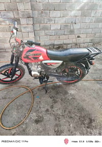 بوكسر • اصولي • الكرمه