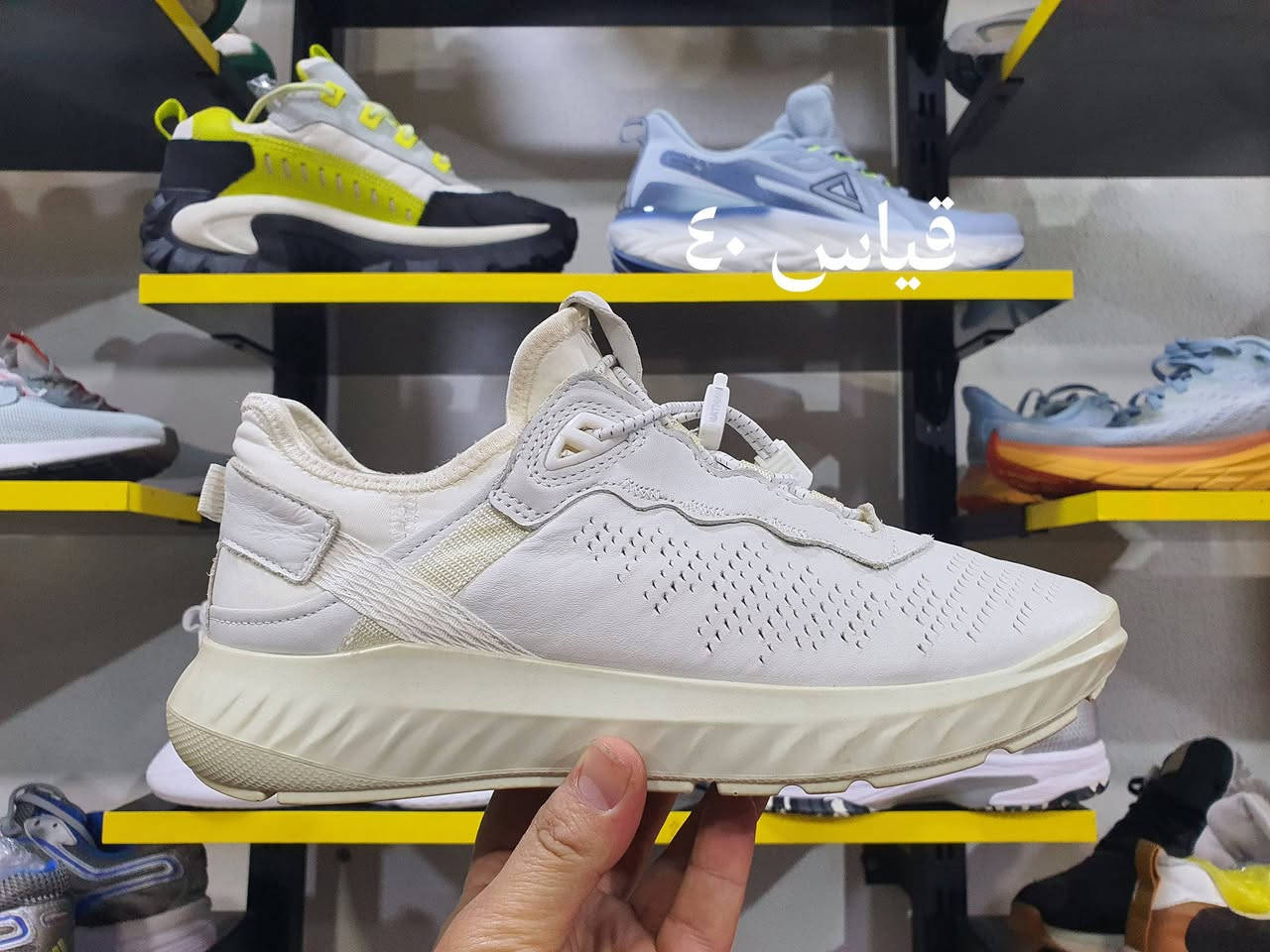 أقوى الماركات العالمية
شرط النظافه وشرط أصلي 
التواصل عن طريق الماسنجر والوات سآب ***********
العنوان موصل دواسه قرب فلافل بدر قصر المطرآن
يوجد توصيل جميع المحافظات
