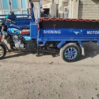 ستوته • موديل 23 • أوراق أصلية