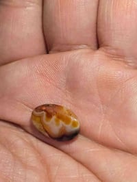 بسم الله الرحمن الرحيم وَإِنَّكَ لَعَلَىٰ خُلُقٍ عَظِيمٍ اللهم صل على ...