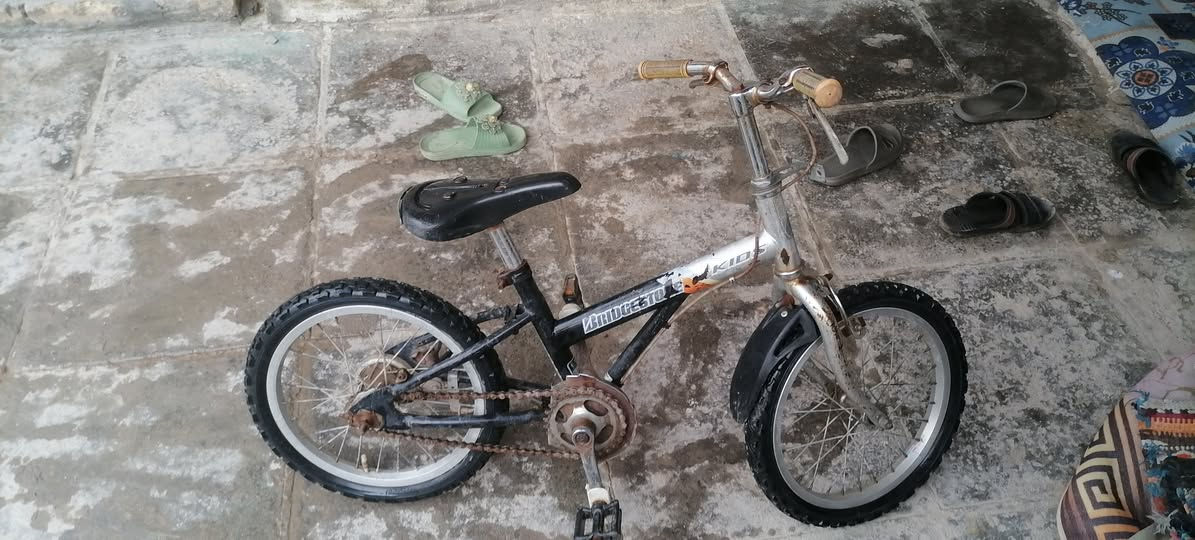 كلمن سعره ناصريه اسكان صناعي


**إذا كنت صاحب هذا الإعلان وتريد حذفه لأي سبب، رجاءا أرسل رسالة إلى الدعم الفني**