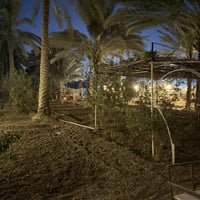 بستان • ٧٠٠م • منطقة ابو زرع