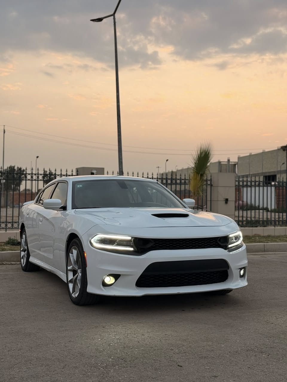 السلام عليكم
للبيع دوج چارجر Gt وارد امريكي 

6 سلندر  موديل 2022 اصل 

رقم بغداد بااسمي شرط التحويل

رقم جديد سنوية جديدة هزة جديدة 

السيارة فول مواصفات عدا فتحة  

بصمة شاشة كبيرة نظام كار بلي 

نقطة عمياء  كشن جلد كشن حضن مختم gt

السيارة مكينة گير صدر تخم تاير 

ويل كب سيارة جاهزة وجديدة للاخير 

حادث جاملغ وبنيد بدون دواخل وجاملغ ثاني ملاون 

السونار مرفق بالمنشور 

السعر 235 ورقة وبيها مجال للشراي

مكاني واسط _الكوت_مركز المدينة

للاستفسار ***********
