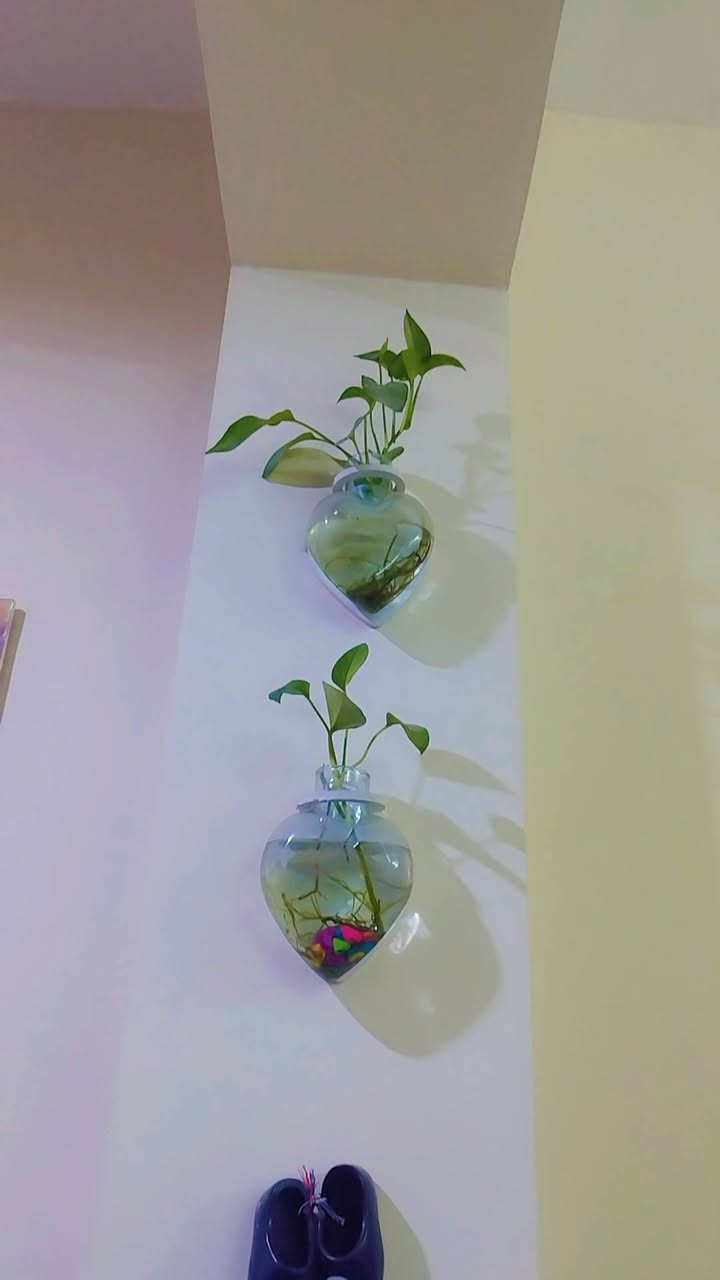 اغراض للبيع مع ديوان عشر أمتار باسعار مناسبه جدا


**إذا كنت صاحب هذا الإعلان وتريد حذفه لأي سبب، رجاءا أرسل رسالة إلى الدعم الفني**