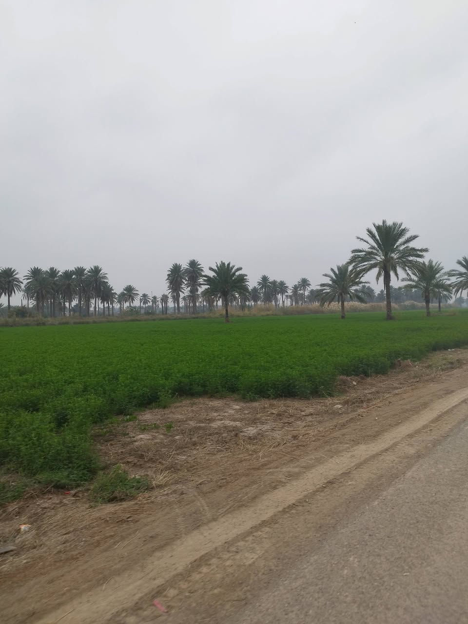 سلام عليكم يوجد دونم للبيع الواجهة 30 طابو ملك صرف 
المكان المدائن الجعاره تبعد عن الشارع الرئيسي 300متر
***********@
