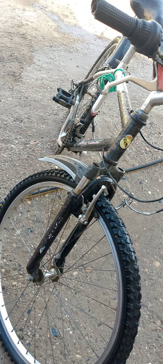 بايسكل للبيع حجم 26 نضيف تواير جديد صطابات بس بي تايرة ورة صجم تكدرر تويسهن بل الفين هاذا جدام العين بايسكل نضيف سعر 55وبي مجال


**إذا كنت صاحب هذا الإعلان وتريد حذفه لأي سبب، رجاءا أرسل رسالة إلى الدعم الفني**