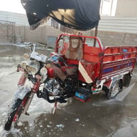ستوته • شغاله • محرك 24