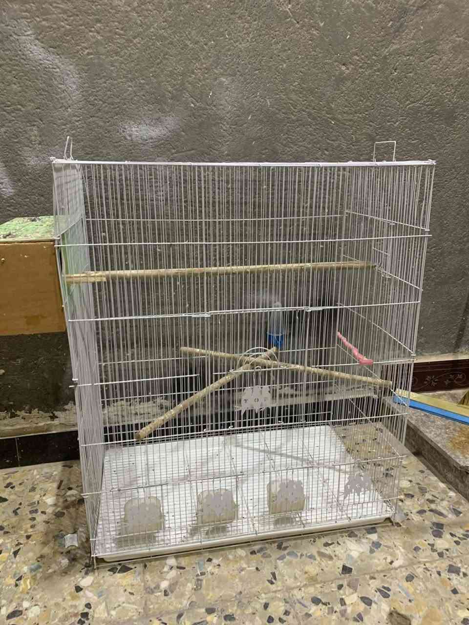 السلام عليكم  جديد قفص للبيع هوه ومعالفه وخليه كوكتيل ب30


**إذا كنت صاحب هذا الإعلان وتريد حذفه لأي سبب، رجاءا أرسل رسالة إلى الدعم الفني**