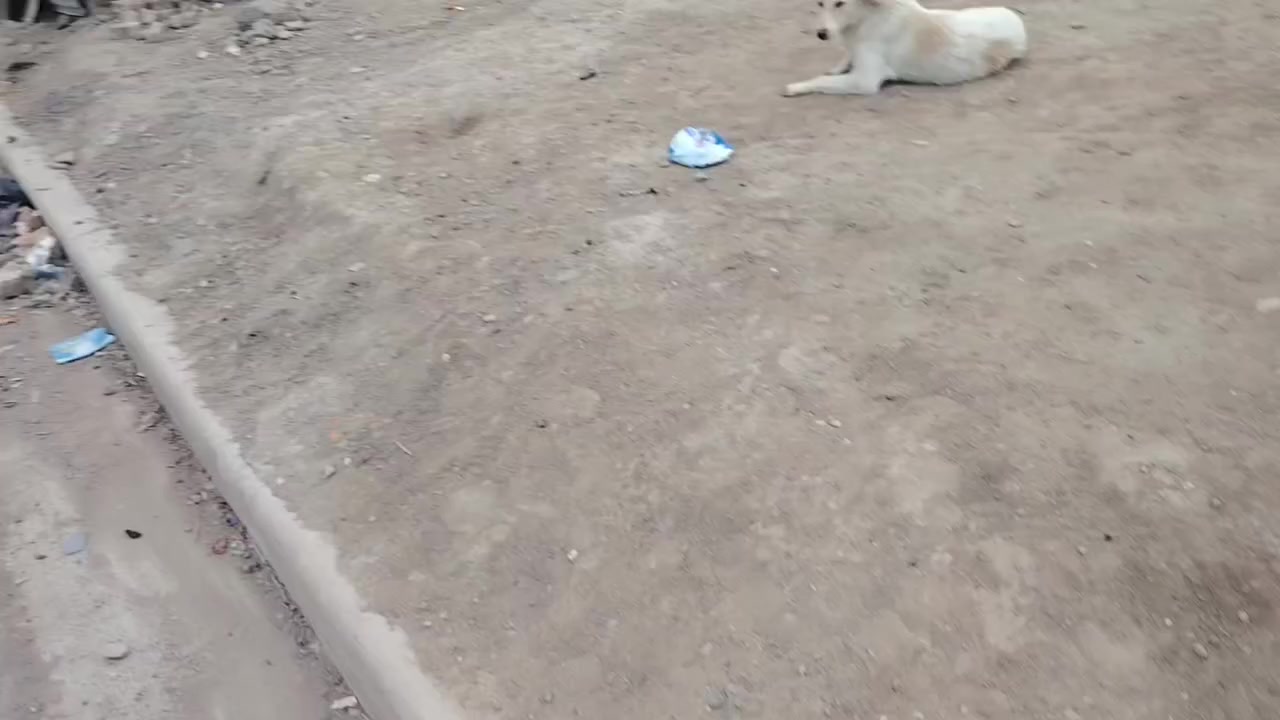 بيت للبيع زراعي ركن مساحه ٢٥٠ على طريق حي الجامعي قرب سيطره المدثره سعر ٩٠ وبي مجال. ***********
