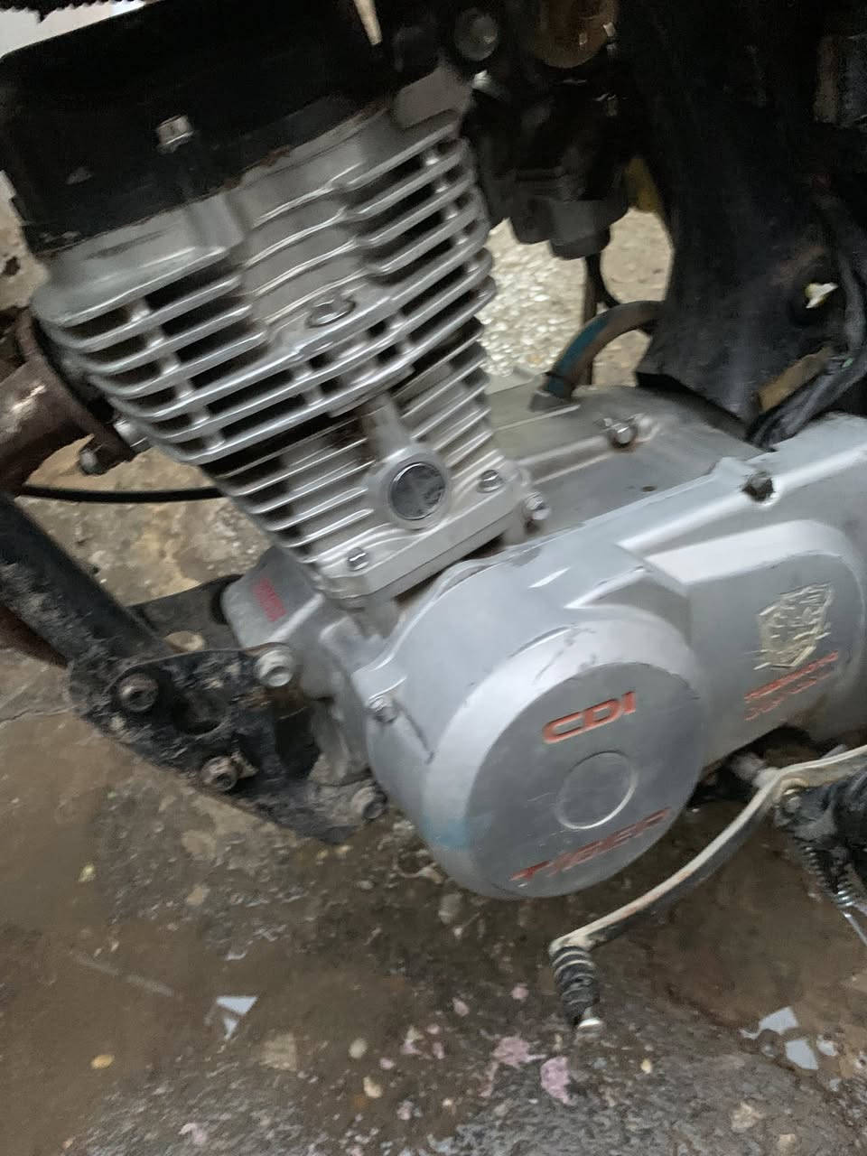 دراجه تايكر للبيع موديل 2021اوراق بيها
دراجه للبيع قويه حيلل دراجه كلها 2021 وبعده نضيفه مثل البصوره سعر 350وبيها مجال شي قليل مكاني بغداد كراده


**إذا كنت صاحب هذا الإعلان وتريد حذفه لأي سبب، رجاءا أرسل رسالة إلى الدعم الفني**