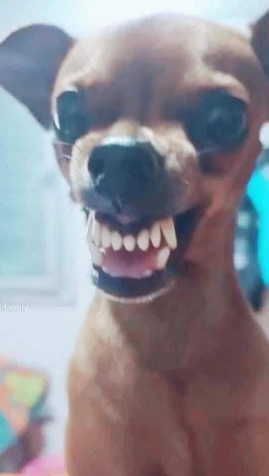 شباب هم رجع توفر بغداد, العراق


**إذا كنت صاحب هذا الإعلان وتريد حذفه لأي سبب، رجاءا أرسل رسالة إلى الدعم الفني**