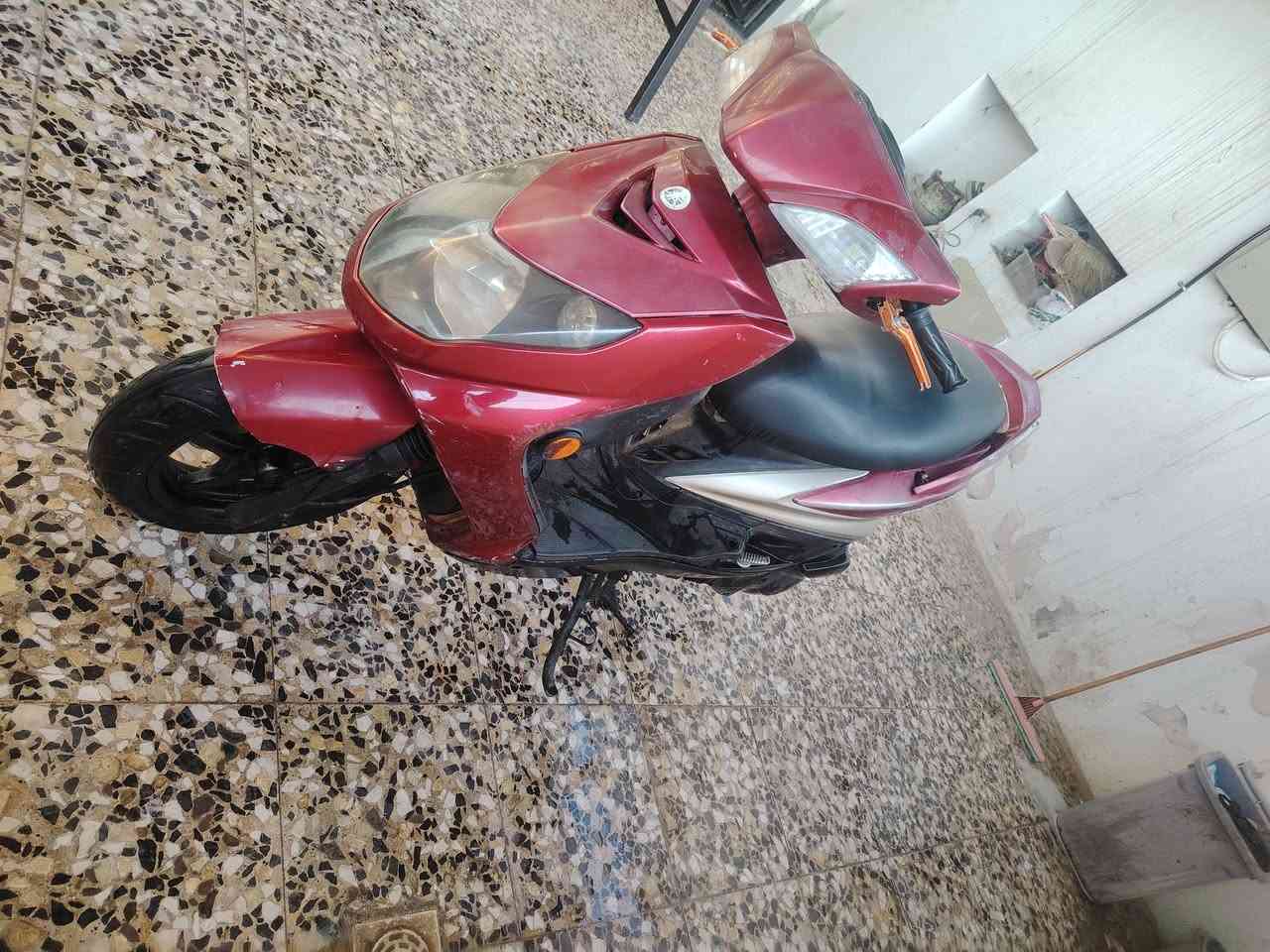 دراحة سكنس فحل طلاعات الدراجة نوزل 8زروف وكلجات رياضي اصلي
مكفولة الدراجة منل فتح شلعة ومعدل تخبل معدل 110
وبيهة اشاير لد ولمازدة هم لد السعر650وبيهة مجال حك الجية مكاني بغداد الحسينيه رقم ***********بي وتساب
