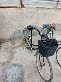 بايسكل • للبيع • قابل تفاوض