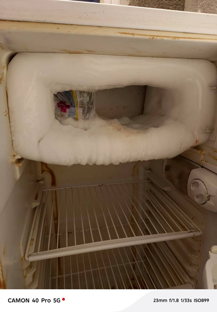 ثلاجة كونكورد حجم وسط كمبريسر بانسونيك ياباني شرط التجميد المكان التضحيه شارع العياده السعر 125000
***********
