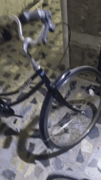 سلام عليكم بايسكل بناتي للبيع حجم26 مصبوغ صبغ حراري اصلي لون اسود طافي مكاني بغداد  شهداء البياع السعر 65 وبي مجال للطيبين للاتصال على *********** متواجد واتساب ومازنجر
