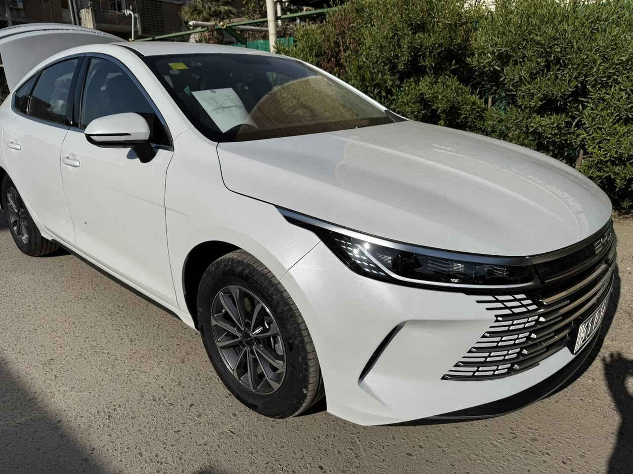 سلام عليكم بي وايدي دسترويل مكفوله ماشيه الف زيرو مرقم وكامل مكان بغداد*********** :***********
