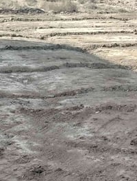 اخوان قطعه زراعيه برعد وسيراميك 200 والسعر خاص 07842511106