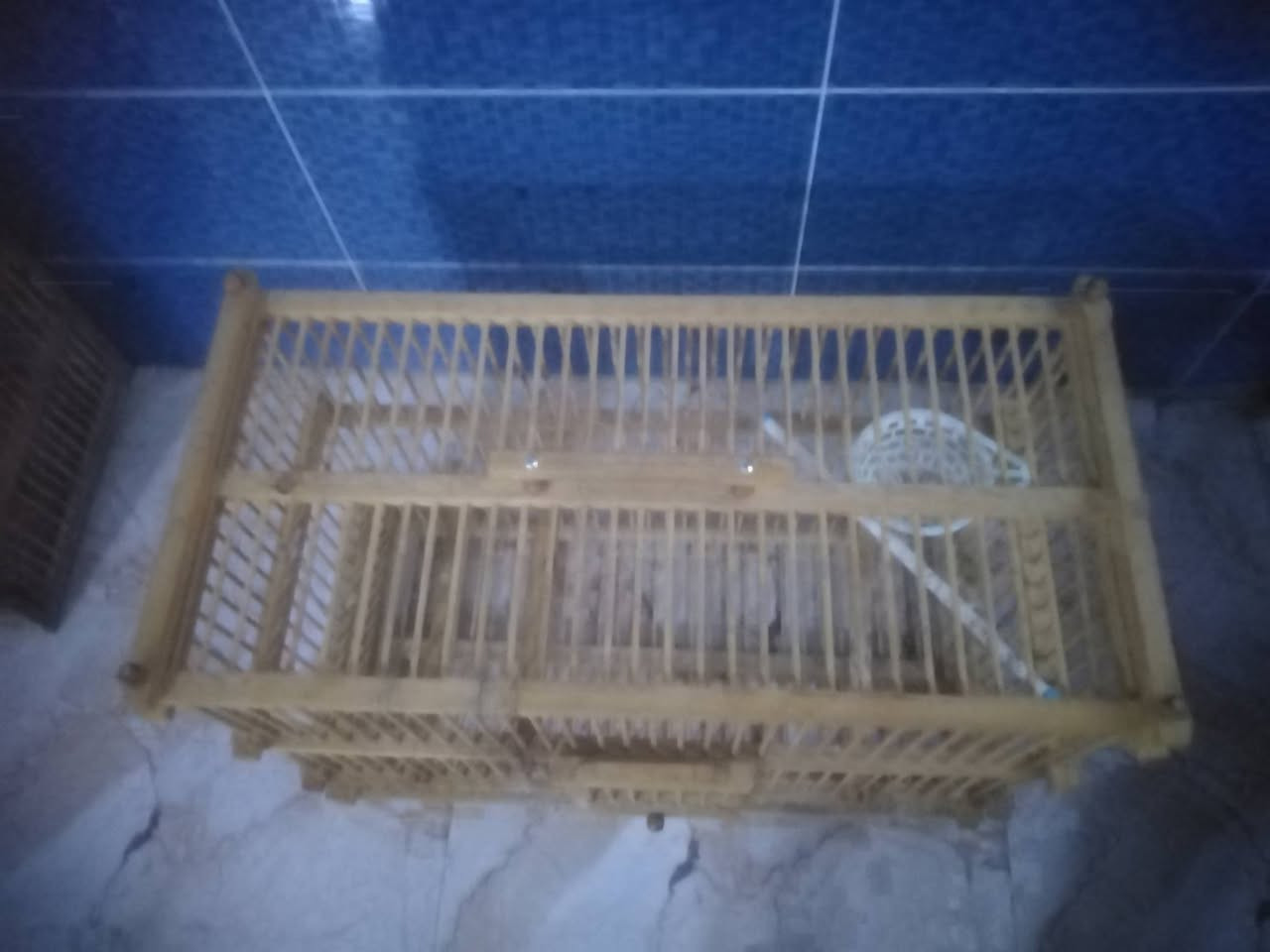 عندي هذولا القفصين للبيع ثنينهم ب 55وبيهم مجال الصغير ب 10والاكبر ب 50 وبيهم مجال قليل


**إذا كنت صاحب هذا الإعلان وتريد حذفه لأي سبب، رجاءا أرسل رسالة إلى الدعم الفني**