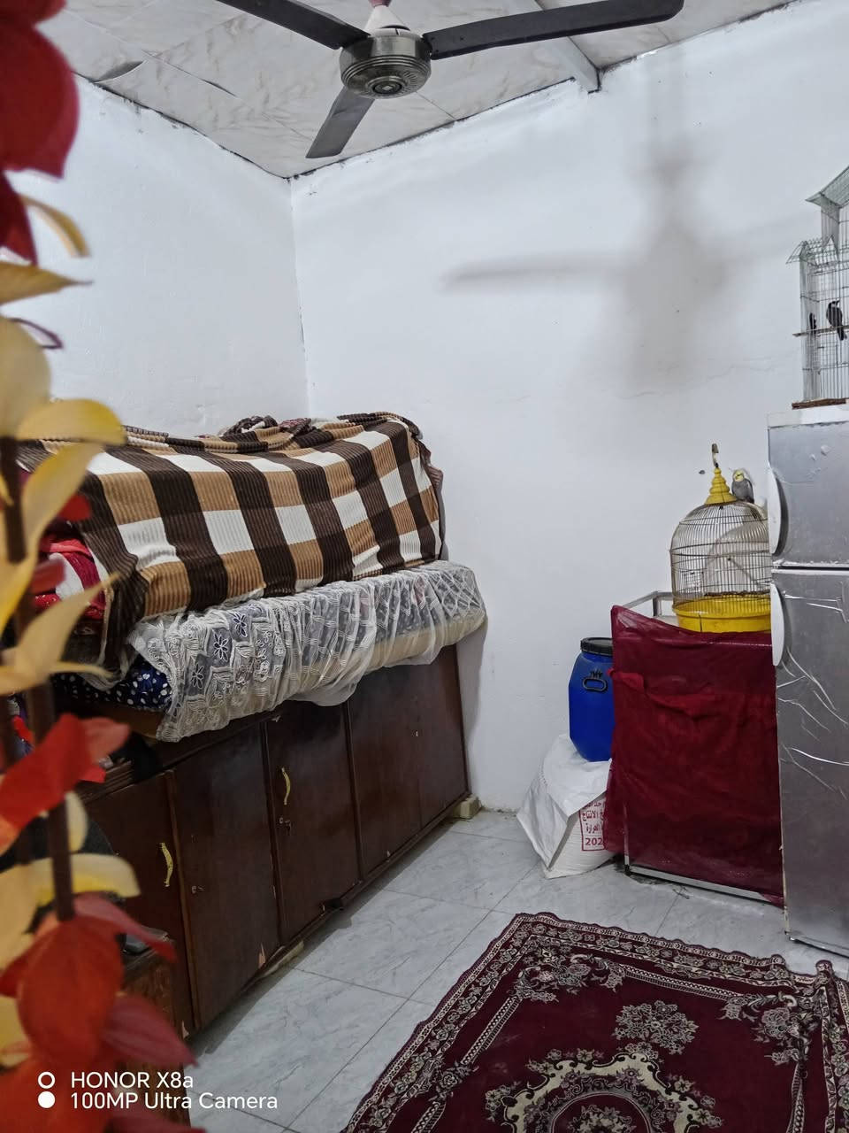 اسلام عليكم بيت للبيع مساحة ١٠٠ بمجمع فدك بجهة الرئاسة قريب شارع العام مشمول بقرار تمليك محتوياته غرفتين نوم صاله استقبال صحيات السعر ٣٩ وبي مجال قليل ***********
