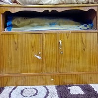 بوفيه • للبيع • كربلاء