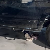 مراوس • ويل • نفس بالصوره