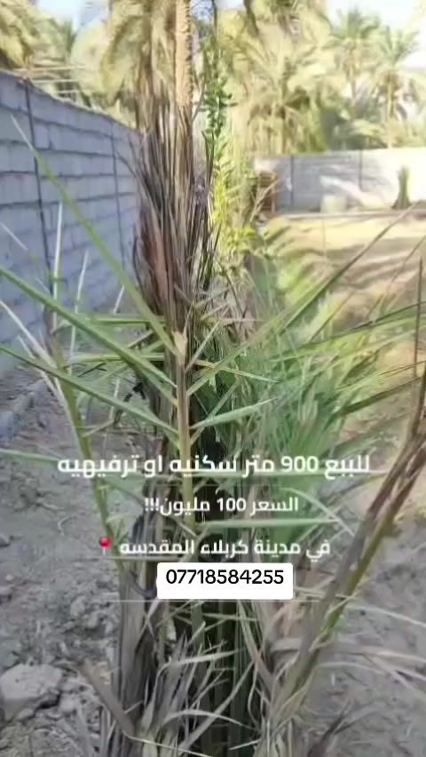 السلام عليكم المساحه 900 متر سند 25 الواجيه 29 متر تبعد عن مركز المدينه 9 كيلو تبعد عن شارع السيده زينب 800 تبليط و150 طريق مدفون سبيس جميع الخدمات متوفره سعر وباقي التفاصيل اكثر الاتصال***********
