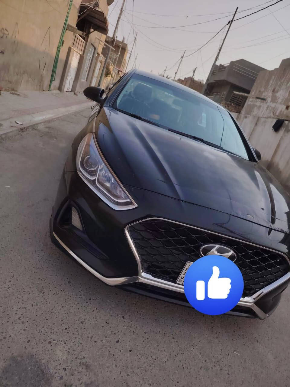 السلام عليكم
للبيع الشراي يجي خاص


**إذا كنت صاحب هذا الإعلان وتريد حذفه لأي سبب، رجاءا أرسل رسالة إلى الدعم الفني**