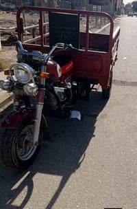 ستوته • موديل 20 • اوراق كامله