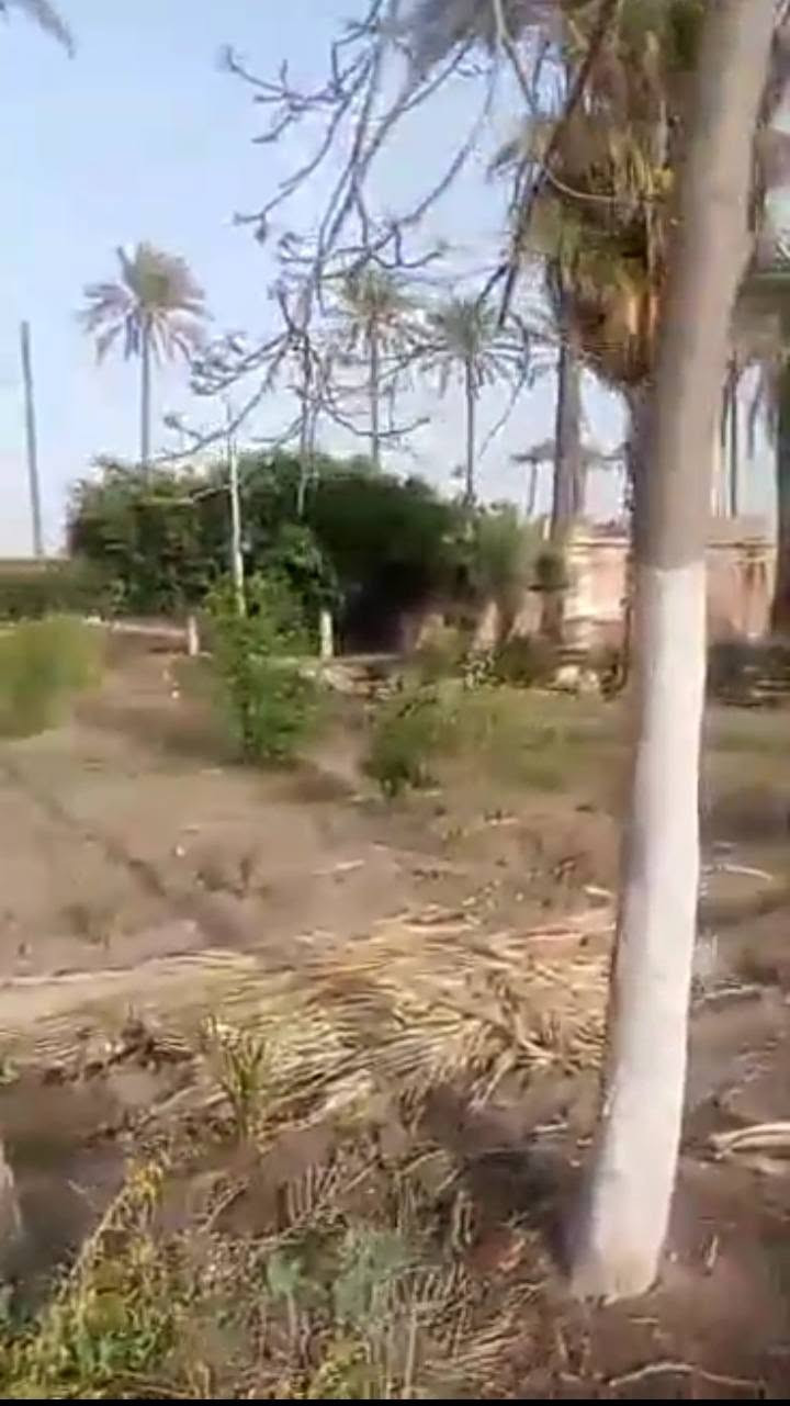 ٢٨فدان محاصيل  البيع ✨ 
📌عالطريق الزراعي مباشره
📌 بين كفر الدوار وابو حمص 
📌فيهم فيلا واستراحه عمال
📌للتواصل: 01029105427


**إذا كنت صاحب هذا الإعلان وتريد حذفه لأي سبب، رجاءا أرسل رسالة إلى الدعم الفني**