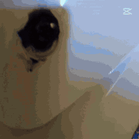 سلام عليكم دراجه للبيع خير من الله مكينه ناعمه نكره كل وكت  رقم  ***********
