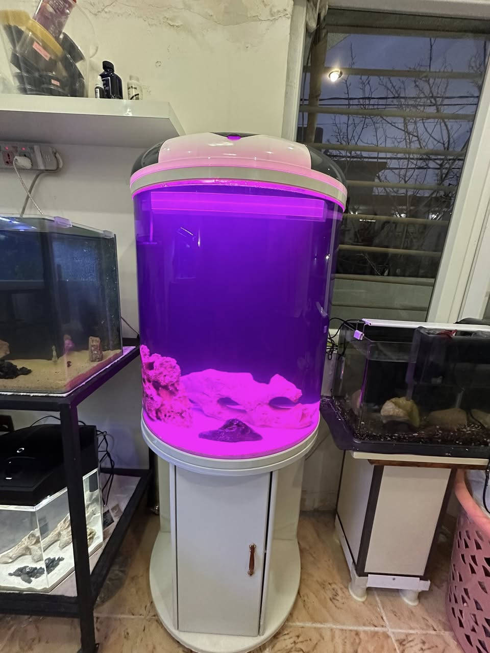 حەوزێك پێشی كامل خڕە و تایبەتە بۆ  جوانی  
ئاوگۆڕینی ناوێت فلتەری شەریكەی خۆی لەگەڵە 
لیدێكی مواسەفاتی شەریكەی  تێدایە چەندین ڕەنگی جیاوازی تێدایەو كز و زیاد ئەكرێت بە خواستی خۆت
مۆدی گۆڕینی ڕەنگەكانی تیایە بە شێوەی ئۆتۆماتیك
 چەند بەردێكی زۆر تایبەتی لەگەڵدایە
ژێری لمێكی زۆری تێدایە
پشتی  باگراوندی ڕەشی لێ دراوە
قیاسی حەوزەكە بەبێ مێز درێژی ٦٠ سم بەرزی ٧٦ سم تیرەی پانیەكەی بۆ پێشەكەی ٣٦ سم 
بەرزی حەوزەكە بە مێزەكەوە ١٤٥ سم
تێبینی : حەوزەكە بەكارهاتووە
_______
ئەوەی ویستی نامە بنێرێت لە واتس ئەپ یا ڤایبەر 
***********
گەیاندنمان تەنھا بۆ ناو سلێمانی ھەیە
