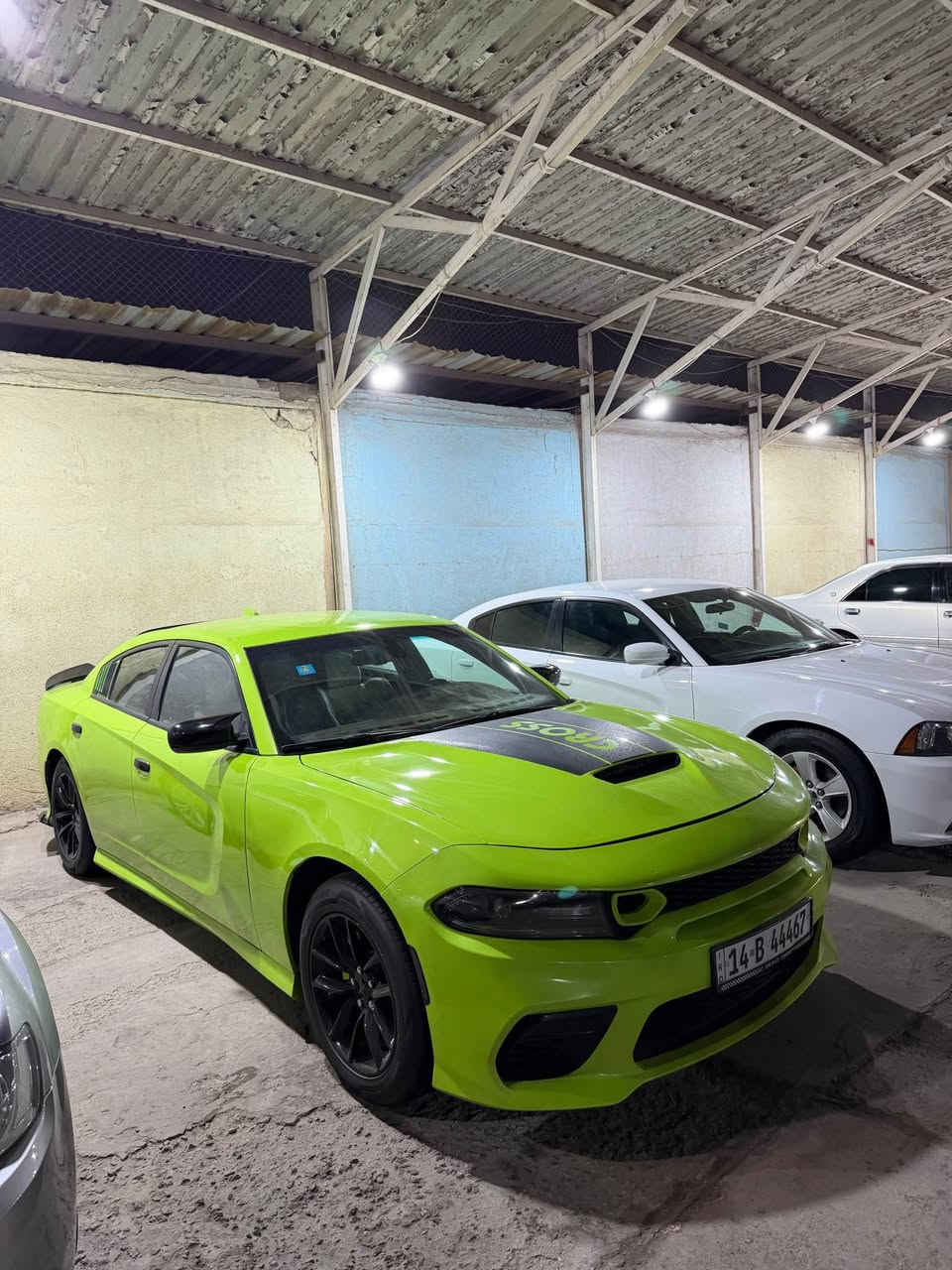 جاجر مديل 2019 اصل مرمز 2021   حادث جاملغ وبنيد. السعر 175 وبيها مجال   الاستفسار *********** البصرة, العراق
