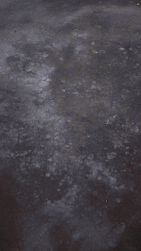 السلام عليكم
قطعة أرض للبيع👈 المساحة 200 متر
السعر 122 مليون وبيه مجال
العنوان قادسيه الثاني سايدين أبو خطاب
طابو صرف
للاستفسار أكثر مراجعة مكتب المباني للعقارات والمقاولات العامة👈 او الاتصال على الارقام الثالي
*********** محمد ابو جنيد

*********** محمد

***********  احمد

نتشرف بزيارتكم للمكتبنا واستقبال كافة عرضاتكم تجاري وسكني في كافة أنحاء محافظة كركوك

عنوان مكتبنا حي العسكري مقابيل جامع المعراج
