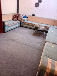 تخم قنفات • ما بيه خسف • اسفنج ظهر