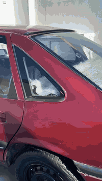 اوبل • ١٩٩٠ • قەلادزئ