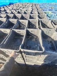 يوجد لدينا صناديق للبيع مكلف بلنشر 07808094072