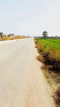 خلف جامعة بابل • طابو زراعي • ١١٠٠م