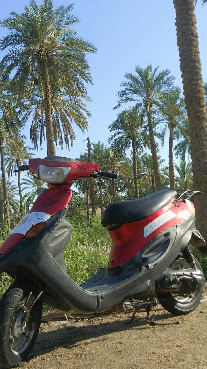 بيجي للبيع
الدراجه كهرابائياتها ما تشتغل. وقبل يومين مجفته تجفيت عام. السعر ٢٧٥ قفل.


**إذا كنت صاحب هذا الإعلان وتريد حذفه لأي سبب، رجاءا أرسل رسالة إلى الدعم الفني**
