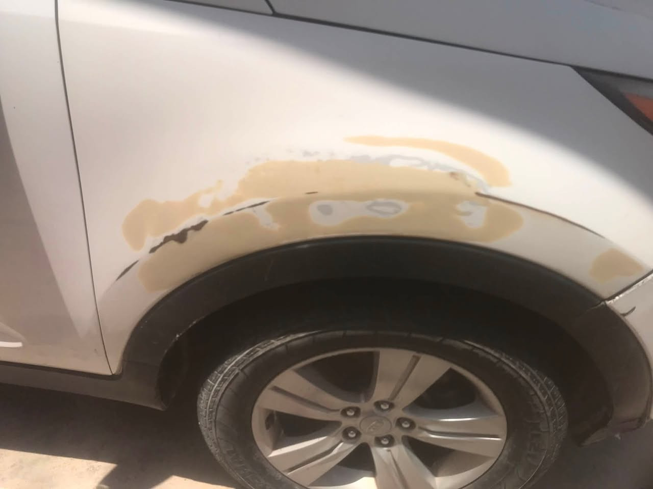 السلام عليكم كيا سبورتج ٢٠١١امريكي حادثهة بنيد السيارة يرادلها حمام تبريد عاطل بولبرن الامامي يرادلة تبديل بيهة ونة بيهة طخة بلجوانب موضحة بلصور 
المحرك والكير كلشي مابي السيارة باسمي سنوية ٢٠٢٦ رقم بغداد
رايدهة ٩٥ وبيهة مجال بسيط ***********(مااراوس)
