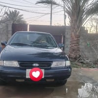 سيفيا • ١٩٩٤ • معمرة