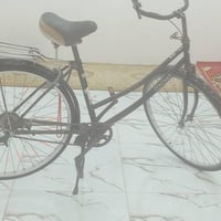 ٢٠١٥ • ماشيه • مصبغة