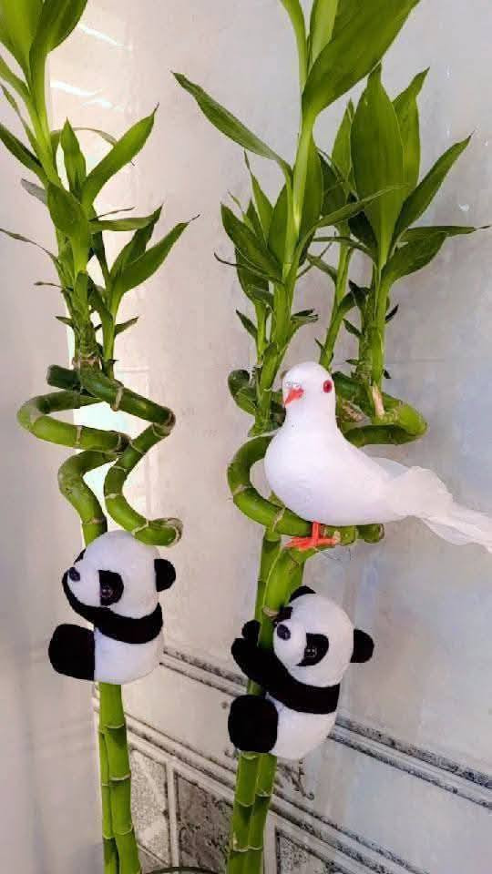 🌿🐼🦊💚
مين يقدر يقاوم هالجمال؟ 😍
اكسسوارات نباتات الباندا والراكون اللطيفة 🐼
تحسهم متسلقين الشجر فعلاً 😂💚
لواسق للنباتات المتسلقه مثل البلاب 

ديكور يفتح النفس، يضيف طاقة حلوة وابتسامة بكل زاوية 🌞🌱
مناسب للبيت، المكتب، وحتى كهدايا 🎁✨

✨ الكمية محدودة لا يفوتك الجمال 😍
📩 احجز الآن قبل ما يخلص 💨
***********
