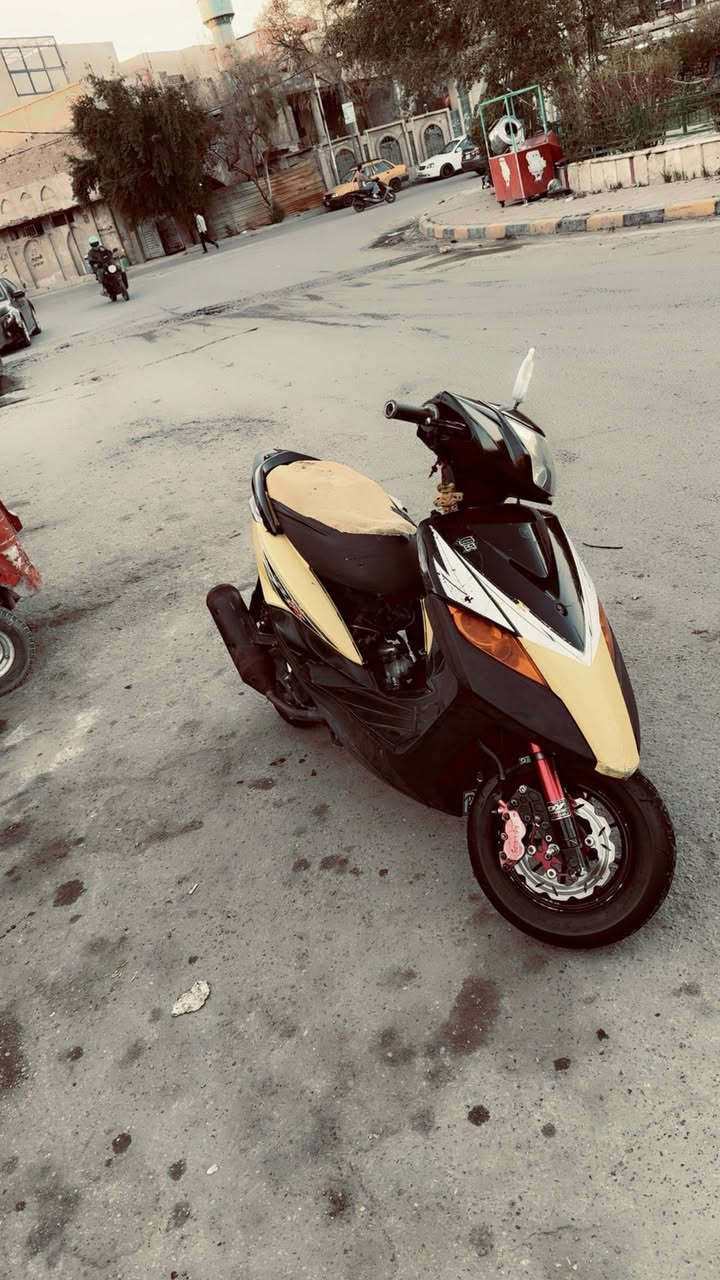 سلام عليكم ثعلب المراوس او بيع عادي بدون نطايح استفسار اكثر خاص ♥️ ***********
