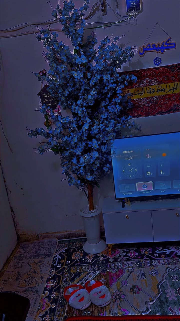 شجره جهنميه لون ازرق جديده للبيع اخذته ب٥٠ اريده ب٣٠


**إذا كنت صاحب هذا الإعلان وتريد حذفه لأي سبب، رجاءا أرسل رسالة إلى الدعم الفني**