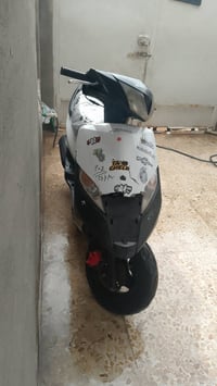 ماكس ثعلب • لايت زنون • سبع ابور