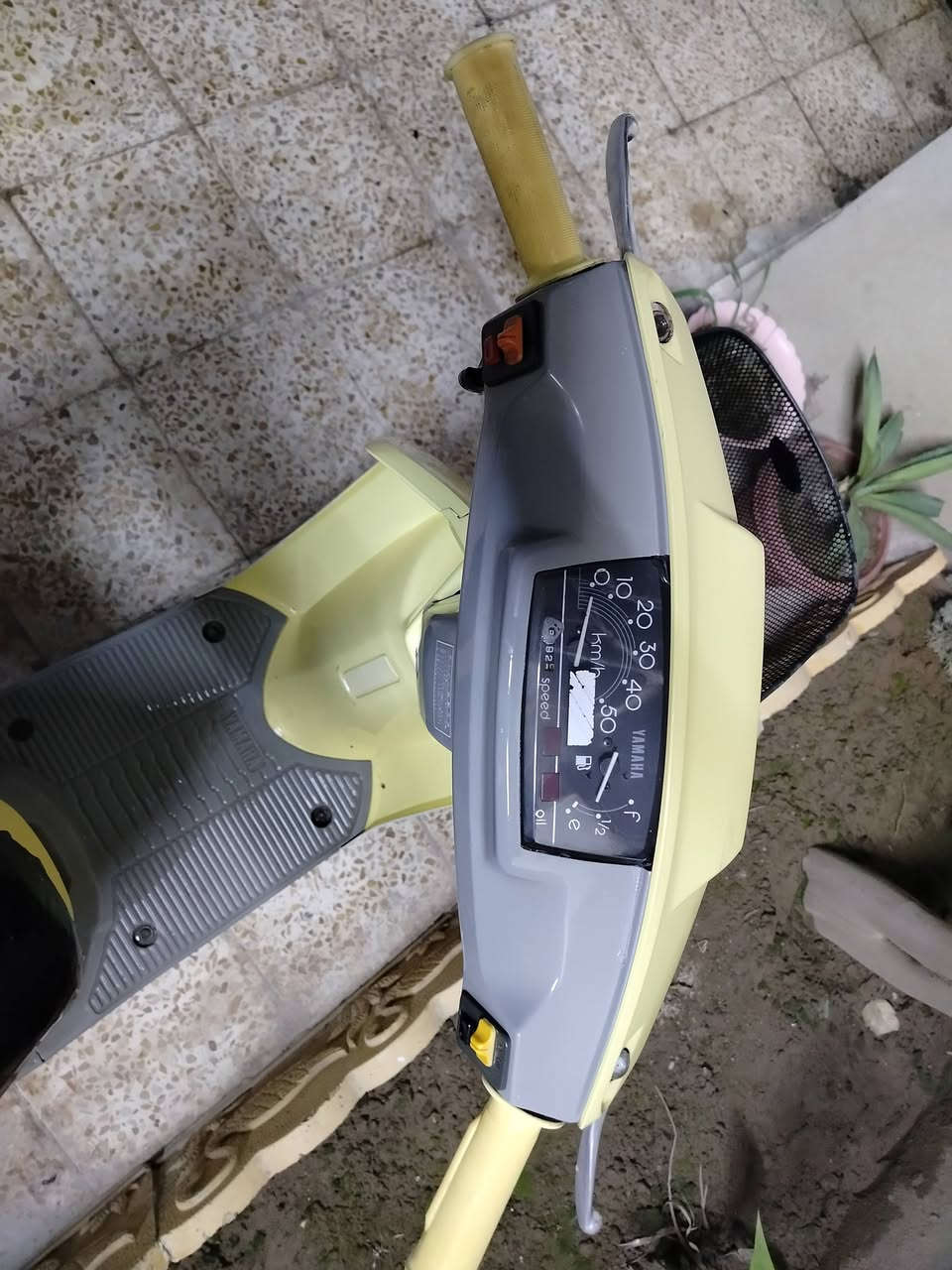 للبيع مال حاويه 400


**إذا كنت صاحب هذا الإعلان وتريد حذفه لأي سبب، رجاءا أرسل رسالة إلى الدعم الفني**